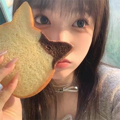 一只狗的大学时光